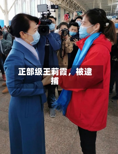 正部级王莉霞，被逮捕-第2张图片