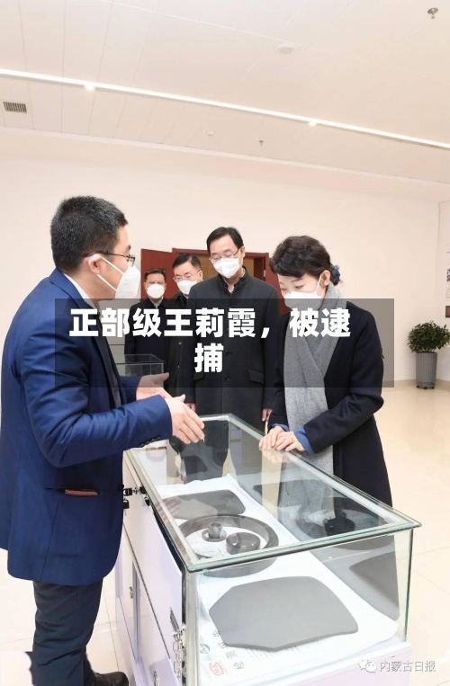 正部级王莉霞	，被逮捕-第3张图片