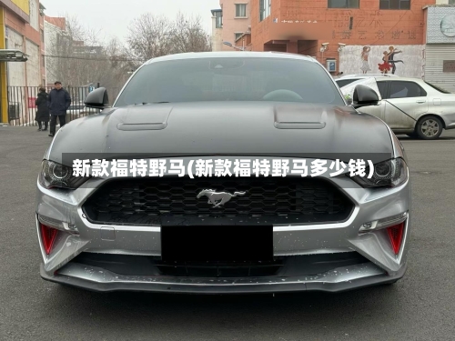 新款福特野马(新款福特野马多少钱)-第3张图片