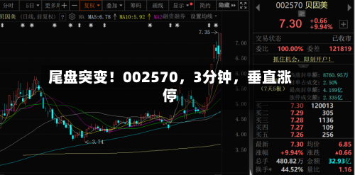 尾盘突变！002570，3分钟，垂直涨停