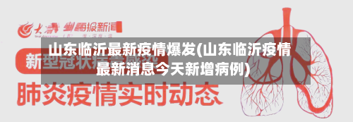 山东临沂最新疫情爆发(山东临沂疫情最新消息今天新增病例)-第2张图片
