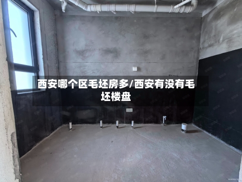 西安哪个区毛坯房多/西安有没有毛坯楼盘-第2张图片