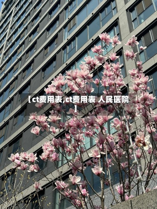 【ct费用表,ct费用表 人民医院】