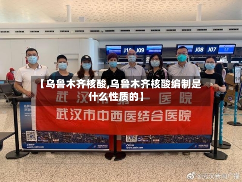 【乌鲁木齐核酸,乌鲁木齐核酸编制是什么性质的】