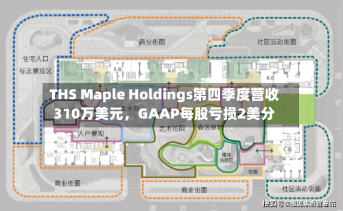 THS Maple Holdings第四季度营收310万美元	，GAAP每股亏损2美分-第3张图片