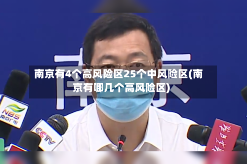 南京有4个高风险区25个中风险区(南京有哪几个高风险区)-第2张图片