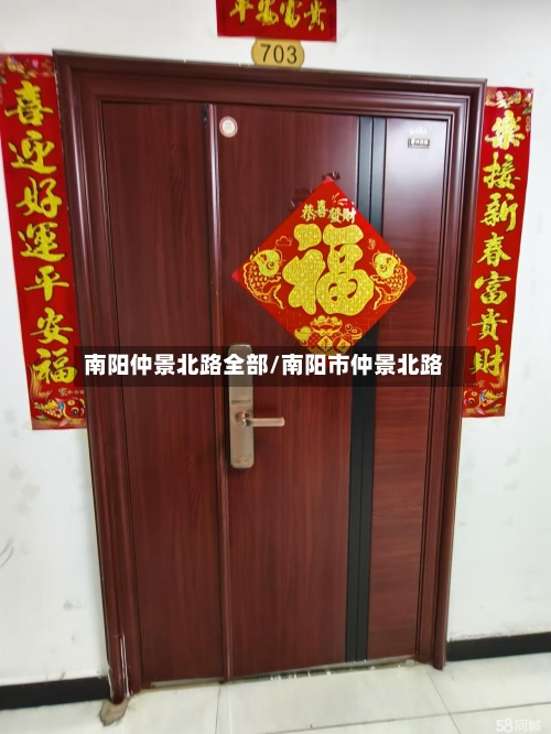 南阳仲景北路全部/南阳市仲景北路-第2张图片