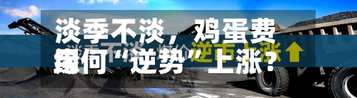 淡季不淡，鸡蛋费用缘何“逆势	”上涨？-第3张图片