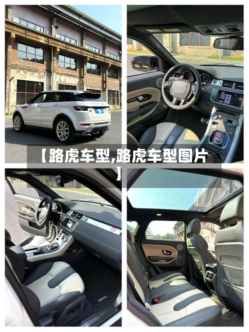 【路虎车型,路虎车型图片】-第2张图片