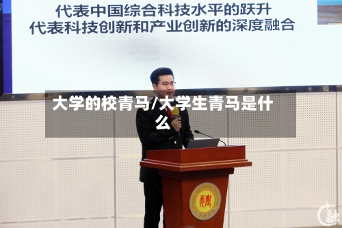 大学的校青马/大学生青马是什么