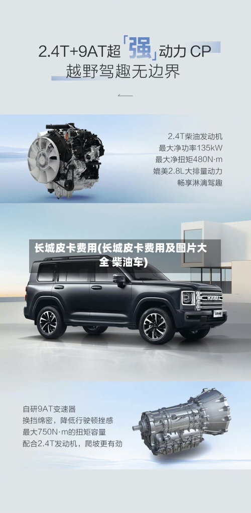 长城皮卡费用(长城皮卡费用及图片大全 柴油车)-第2张图片