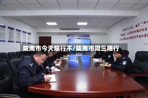 陇南市今天限行不/陇南市周三限行-第3张图片