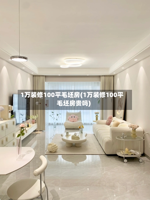 1万装修100平毛坯房(1万装修100平毛坯房贵吗)-第2张图片