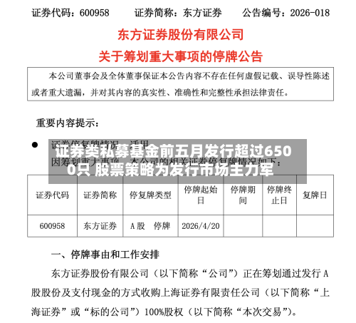 证券类私募基金前五月发行超过6500只 股票策略为发行市场主力军-第2张图片