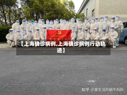 【上海确诊病例,上海确诊病例行动轨迹】-第3张图片