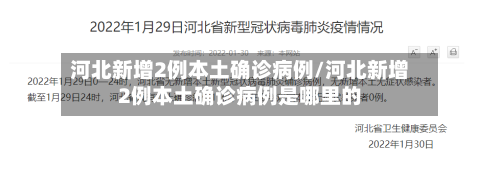 河北新增2例本土确诊病例/河北新增2例本土确诊病例是哪里的-第2张图片