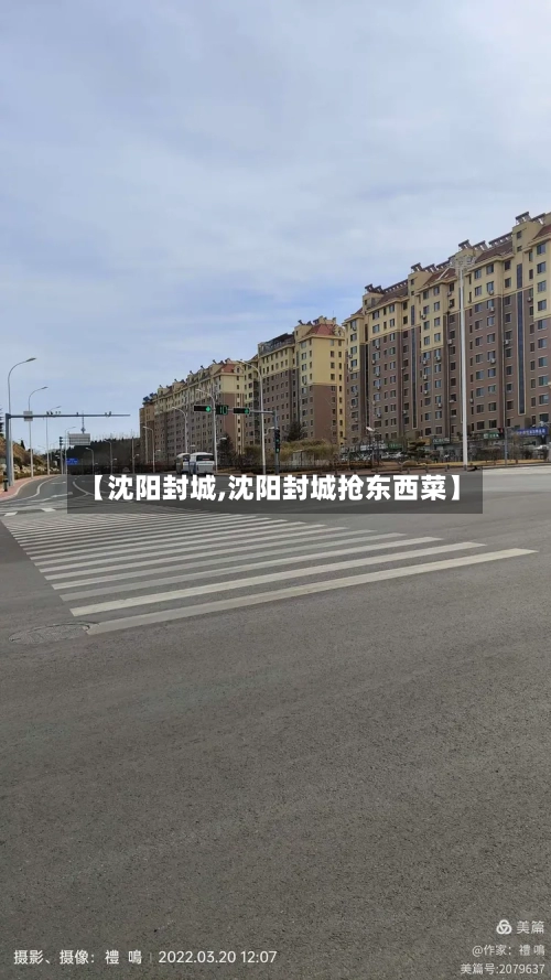 【沈阳封城,沈阳封城抢东西菜】-第2张图片