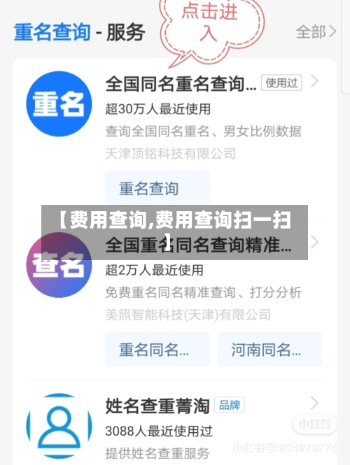 【费用查询,费用查询扫一扫】-第2张图片