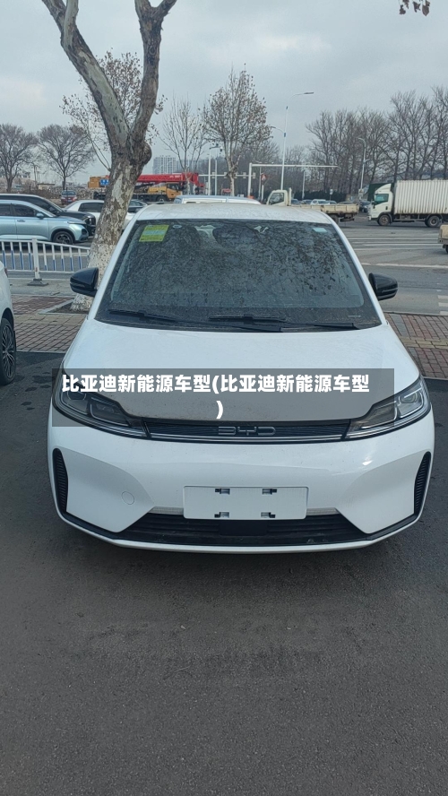 比亚迪新能源车型(比亚迪新能源车型)-第2张图片