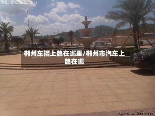 郴州车辆上牌在哪里/郴州市汽车上牌在哪
