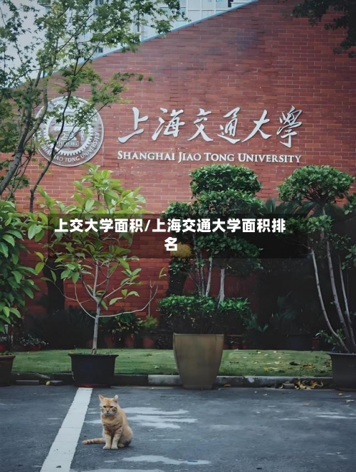 上交大学面积/上海交通大学面积排名